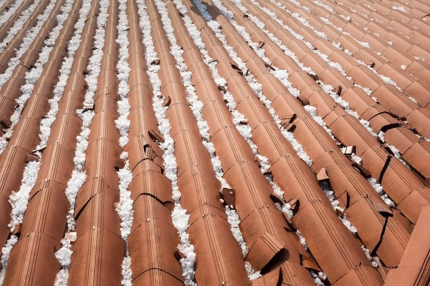 Storm Damage Roof Repair in Shreveport, LA Storm Damage Roof Repair in Shreveport, LA